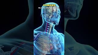 Hidden Killer Of Human Body ️ #Biology #Science #ScienceOfInfinity