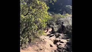 Elliot Honeycutt @ Laguna Beach Trails