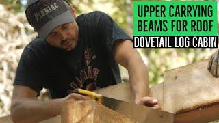 Dovetail Log Cabin -  Upper Carrying Beams for Roof