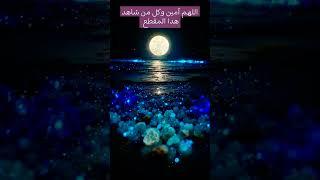 أيها الأفاضل لاتنسوا الصلاة والتسليم على رسول الله فهي مفتاح  كل خير في الدنيا والآخرة