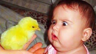 10 Minutes of Funniest Baby Playing With Animals Compilation || Cool Peachy