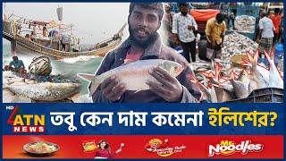 ইলিশের দাম বেশি থাকার নেপথ্য কারণ কী?| Hilsa Fish |Hilsa High Price Reason | Not Export Hilsa | Puja