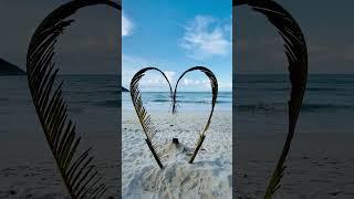 Palm leaf heart on the beach.(Free videos without copyright)