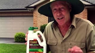 Seasol How to Lawn Videos with Nigel Ruck - No 3 of 5 Seasonal Lawn Care