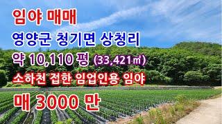 임야매매 영양군 소하천 접한 임업인용 임야 매매