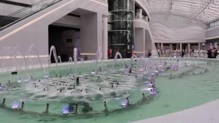 Крупнейший в Украине светомузыкальный фонтан.  Lavina Mall