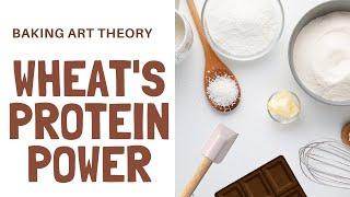 Wheat Wonders: Unveiling Protein Power!