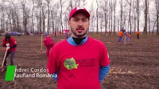 Plantăm fapte bune în România împreună cu Kaufland