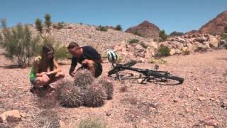 Desert Adventures Bike Tours to the Hoover Dam