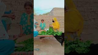 Aadi ne Diya surprise minivlog #dailyminivlog #minivlogseri