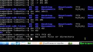 How to move files in directory in Linux