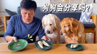 狗狗vs人类幼崽，谁更愿意分享食物？