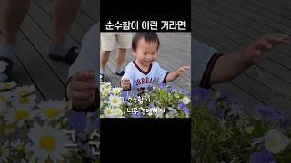 순수함이 이런 거라면