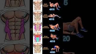 abs training for a perfect waistline
