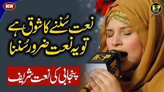 Umme Ammara Qadria | Lajpal Nabi Mere | Naat | Naat Sharif | Nsp Islamic