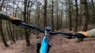 Yeti SB140 // Cannock Chase