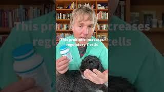 A probiotic stopping dog itching from allergies