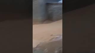 СЕЛ дар Ширкент