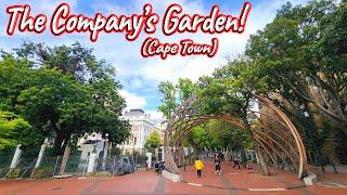 The Company’s Garden, Cape Town! S1 – Ep 531