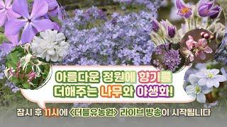 아름다운 정원에 향기를 더해주는 나무와 야생화!