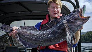 Man Eating Lingcod!!! Searching for the Sea Monster | Captain Quinn