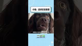 小偷：这肯定是圈套