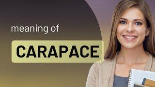 Carapace • CARAPACE definition