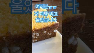 카스테라의 전설을 소개 시켜드립니다!!!! #후쿠오카맛집 #나가사키 #쇼오켄 #카스테라 #나가사키카스테