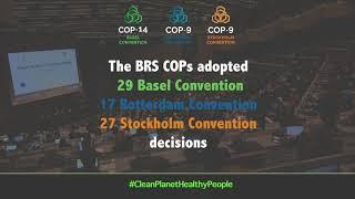 Basel, Rotterdam and Stockholm Conventions 2019 COPS - Short Summary