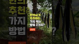 한의사가 추천하는 가지 먹는 방법 3가지 - 가지 함께 먹으면 좋은 음식 3가지 - 중년 건강 관리 방법 #건강 #건강정보