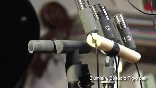 Stereo microphone, ORTF, Blumlein, XY, Binaural, MS stereo