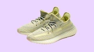 ADIDAS YEEZY 350 V2 ANTLIA REVIEW + ON FOOT