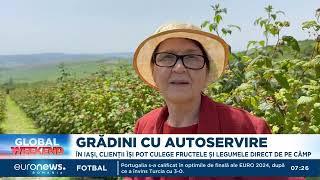 Grădini cu autoservire. În Iași, clienții își pot culege fructele și legumele direct de pe câmp