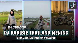 DJ HABIBIE THAILAND MENING X ALONE X RUTINITAS RADONG (Remix DJ TEBANG Plat AG)