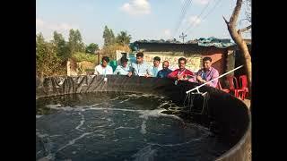 How to Set up a Tank for Bio Fish Farming | Biz iuris College