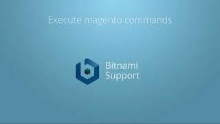 Execute Magento Commands