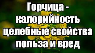 Горчица: калорийность, целебные свойства, польза и вред.