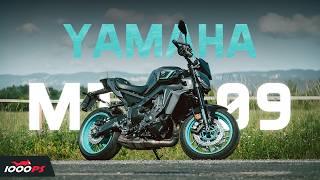 10 Piloten sprechen Urteil - Yamaha MT-09 im Test