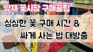 꽃시장 꽃 구매 꿀팁  / 양재꽃시장에서 꽃 구매하기/ 오전 꽃집일상vlog / 꽃집 꽃사입 / #슬기로운꽃집생활 #꽃집창업 #꽃구매