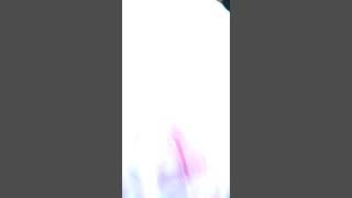 Holi Dimapur 2021