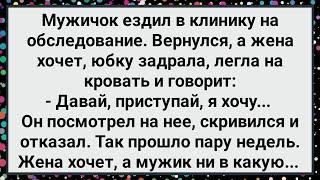 Как Мужик Жене Отказывал! Большой Сборник Свежих Смешных Жизненных Анекдотов!