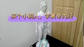 买个针灸模型，小铜人，帮助学习《黄帝内经》