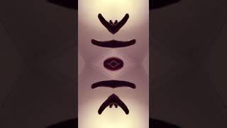 Kaleidoscope Trend #trend  #kaleidoscope #phonkmusic ￼￼
