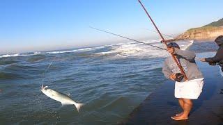 Shad Fishing! Testing out the big setup!