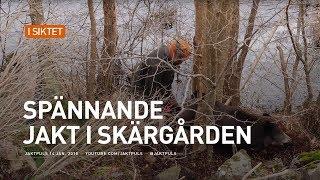 Spännande jakt i skärgården