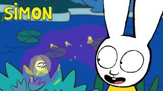 ️ Camping magique : à la recherche des fées !  | Simon | Épisodes Complets 1h S2+3 | Dessin animé