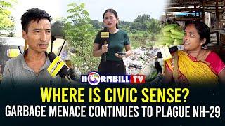 WHERE IS CIVIC SENSE?GARBAGE MENACE CONTINUES TO PLAGUE NH-29