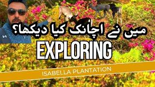 Isabella Plantation Visit | Khobsorat Phol | Pakistani guy exploring Richmond park