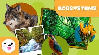 What are ecosystems? Types of Ecosystems for Kids