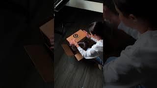 Unboxing the Moog Mother-32  | Analog synth magic!